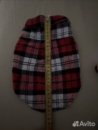 Одежда для чихуахуа