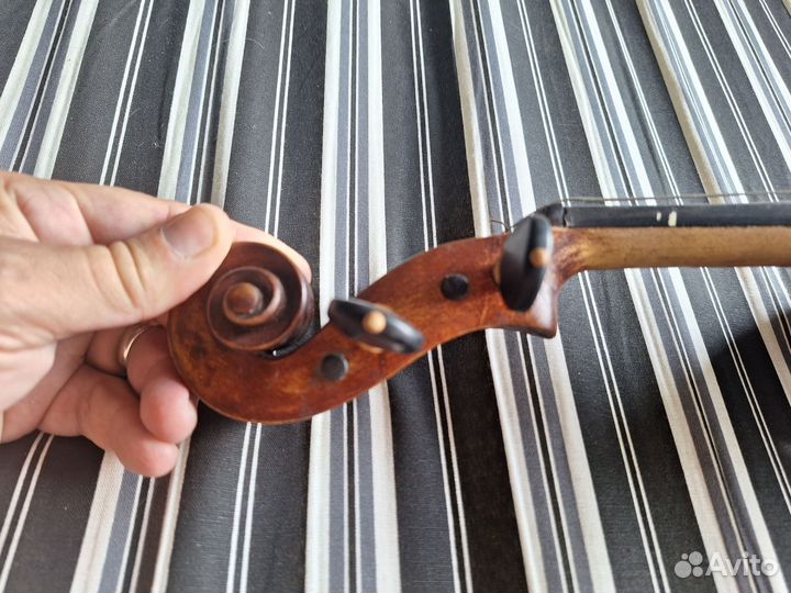 Скрипка целая