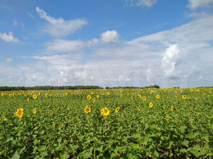 Дом 150 м² на участке 30 сот.