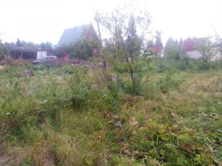 Участок 5,5 сот. (СНТ, ДНП)