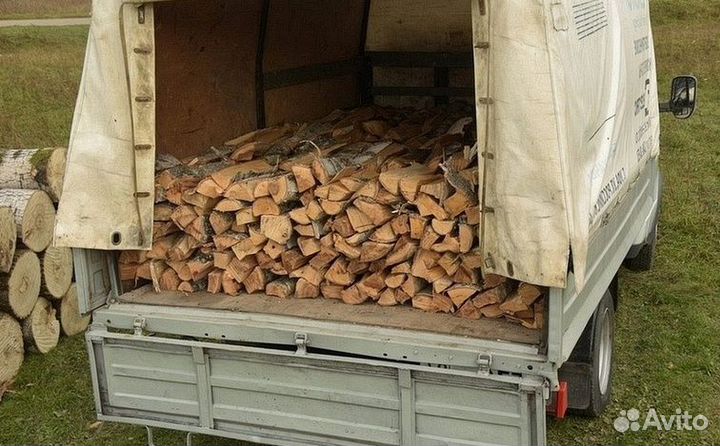 Дрова береза