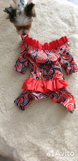 Комбинезон на собаку