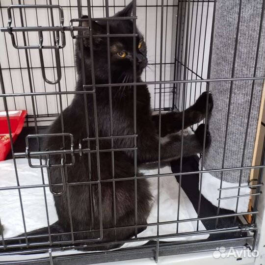 Ветеринарная клиника