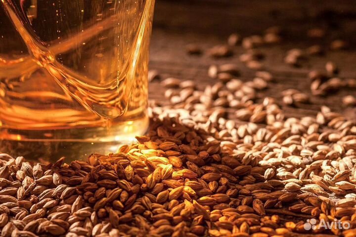 Солод Сastle Malting (Бельгия) в ассортименте