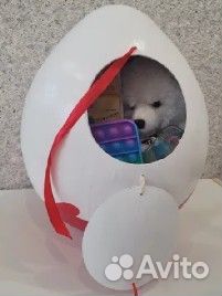 Подарочная коробка киндер сюрприз,подарочный бокс