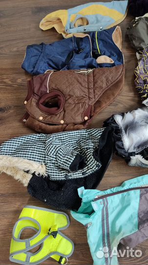 Одежда для собак