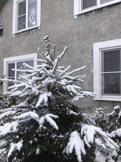 Дом 170 м² на участке 80 сот.