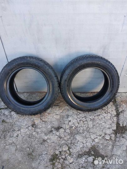 Cordiant Polar 185/65 R15