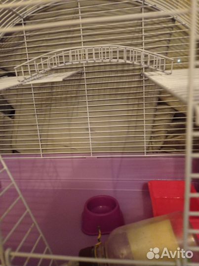 Клетка для грызунов