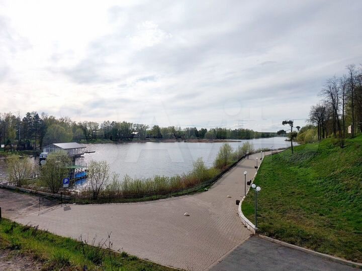 Участок 54 сот. (СНТ, ДНП)