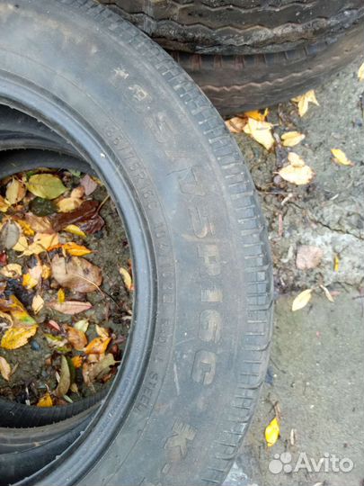 Accelera Beta 5/5 R5 19