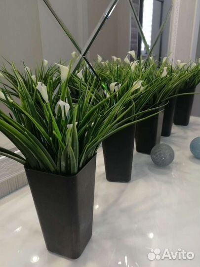 Искусственные растения