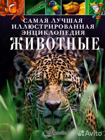 Книга о животном мире