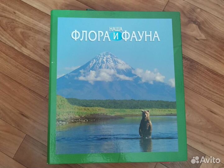 Коллекция книг и журналов