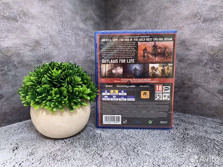 Red Dead Redemption 2 PS4