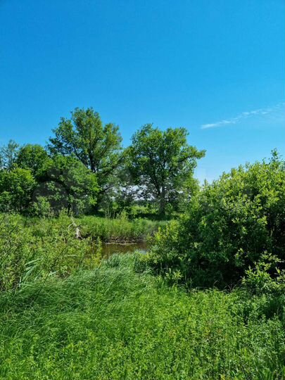 Участок 21,48 га (ИЖС)