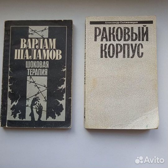 А.Солженицын, Варлам Шаламов