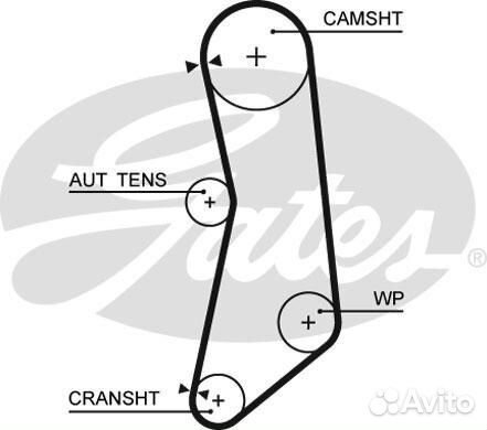 Ремень грм +ролик