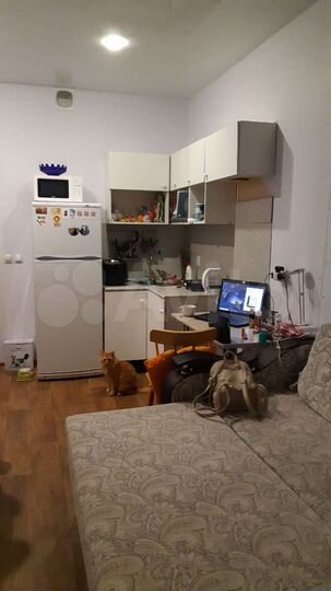 Квартира-студия, 24 м², 13/15 эт.