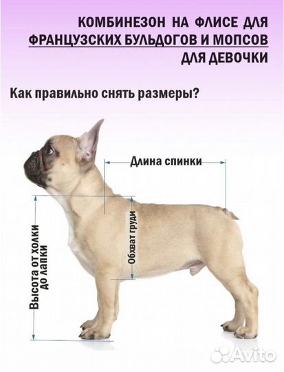 Комбинезон для собак (девочки)