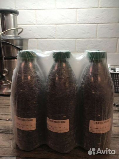 Семечки подсолнечника для птиц