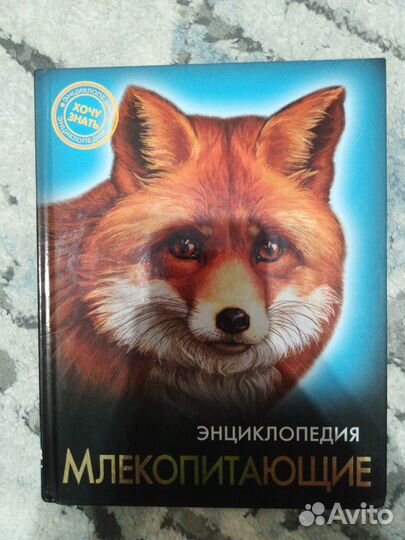 Книга, энциклопедия 