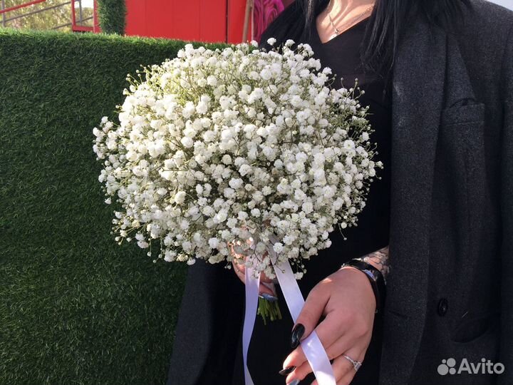 Букет 13 гипсофил