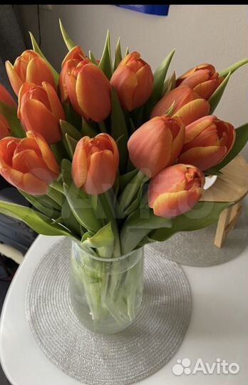 Тюльпаны высокие