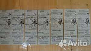 Матки Бакфаст, Карника