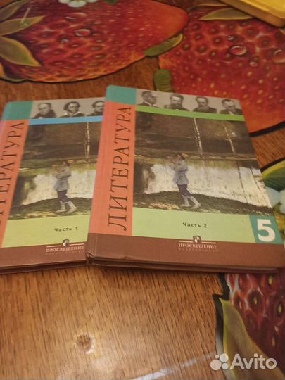Учебники по литературе в 2 частях 5 класс фгос