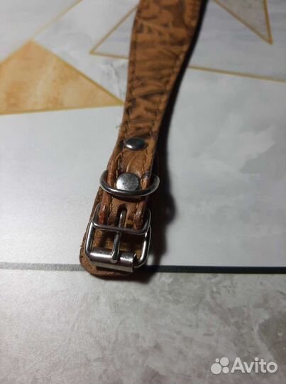 Ошейник для маленьких собак