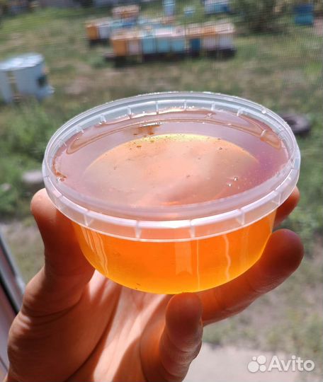 Мёд,Мед 3 сорта 2023