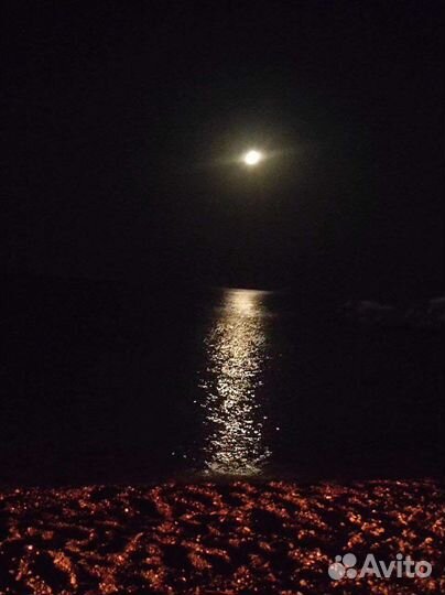 Сап на прокат, Sup сапборд