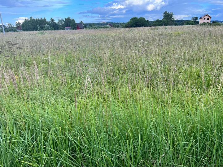 Участок 1,2 га (СНТ, ДНП)