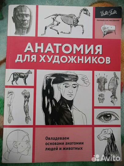 Книга Анатомия для художника