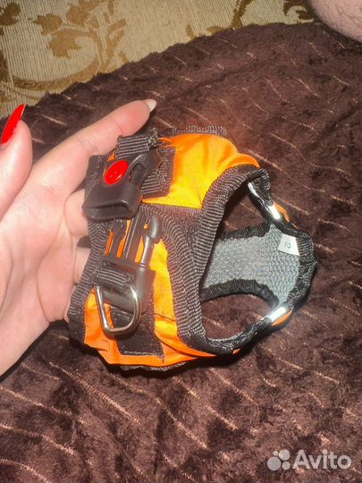 Шлейка для маленькой собаки