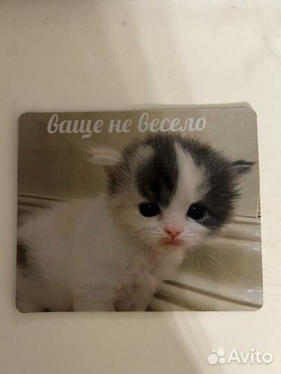 Коврик для мыши