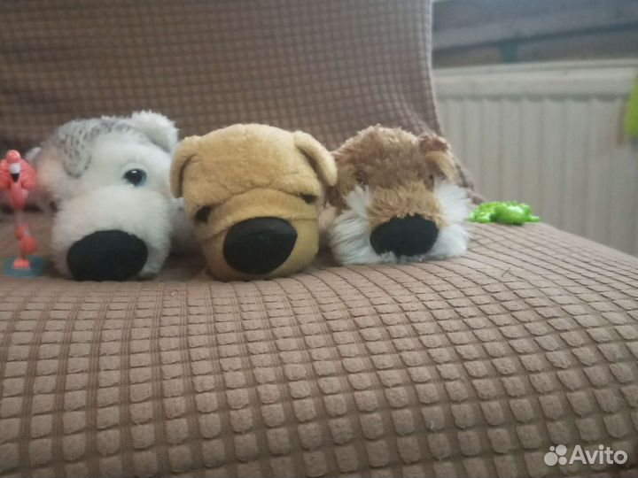 Мягкие игрушки собаки и просмасывае