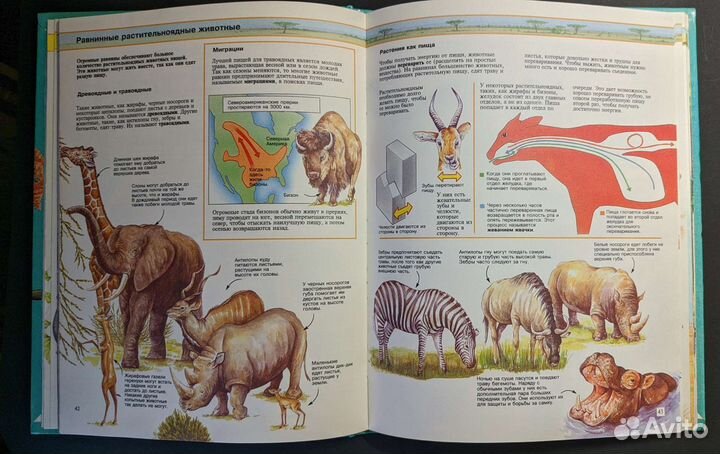 Детская энциклопедия 