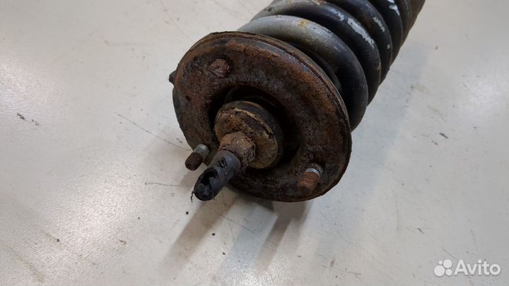 Амортизатор подвески Nissan Pathfinder, 2011