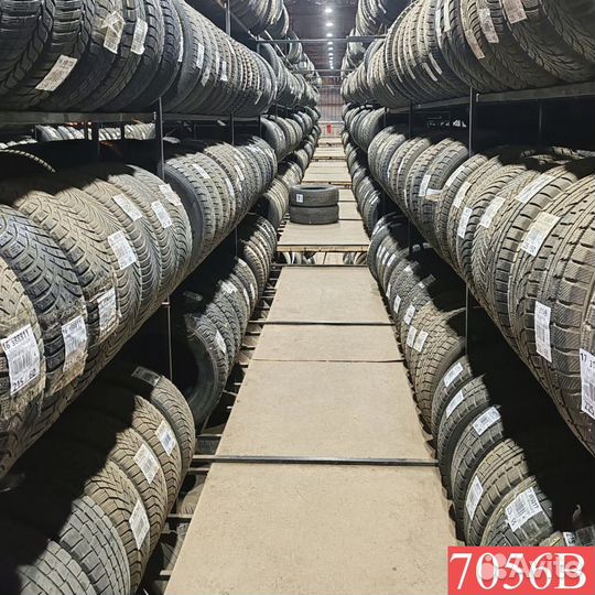 Tigar Winter 205/65 R16 96S