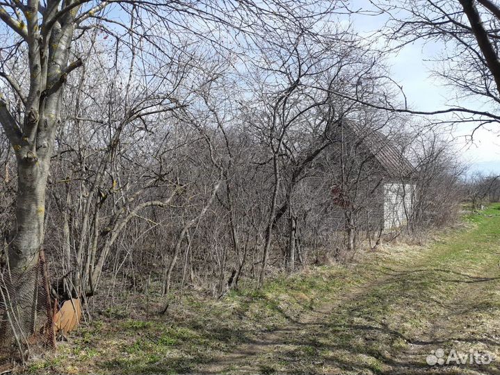 Благоустройство участка, расчистка леса