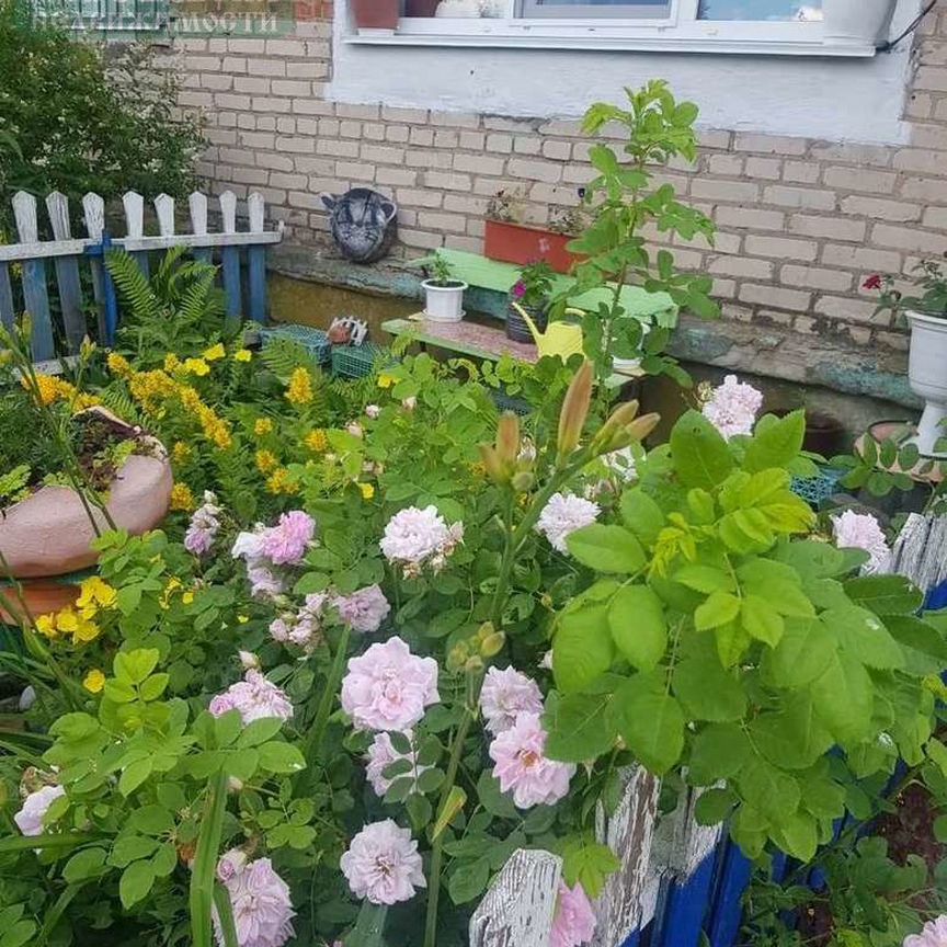 Квартира 2-комн. 41.4 м² в пгт Голынки — фото 8 из 9