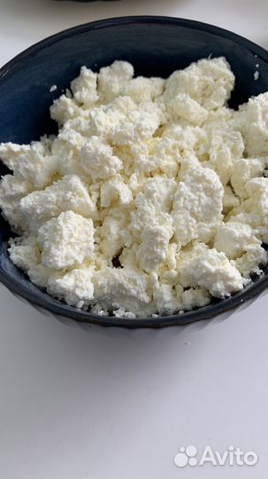 Домашняя молочная продукция