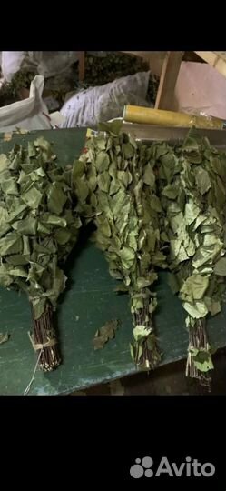 Продам березовые веники