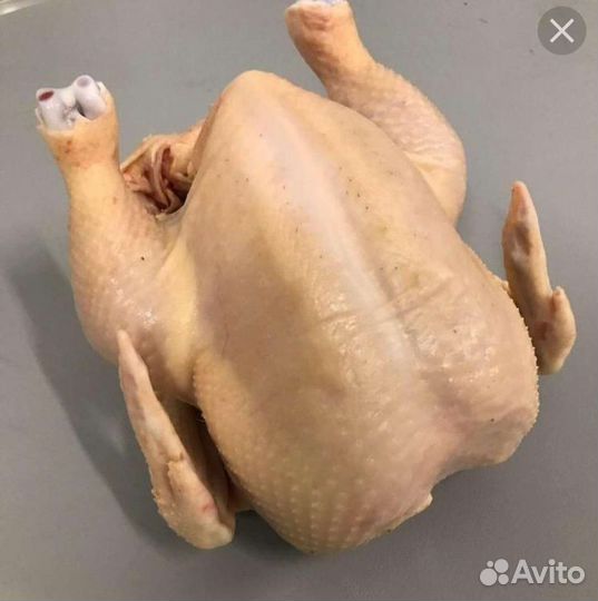 Мясо домашнего бройлера
