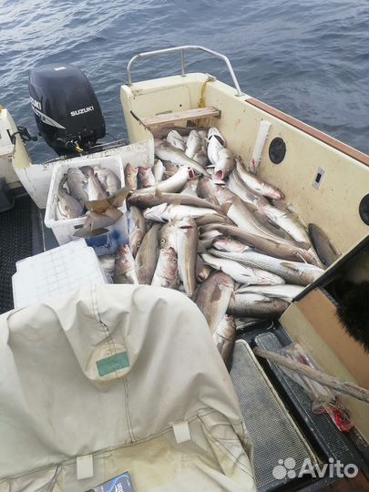 Морская рыбалка