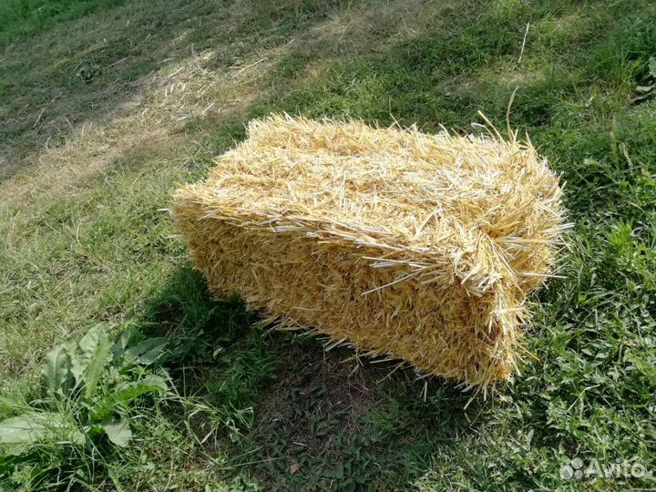 Солома в тюках