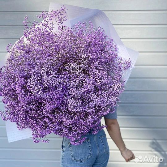 Букет из фиолетовой гипсофилы