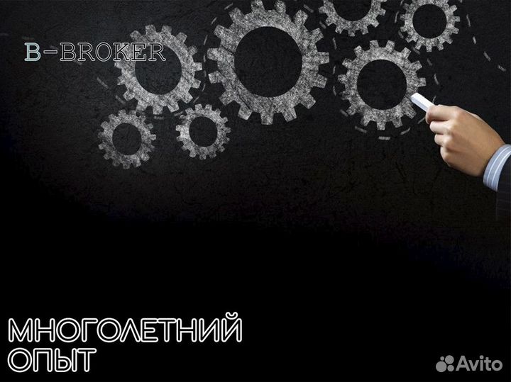 Профессиональные возможности с B-Broker